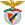 Benfica e Castelo Branco fm 2021