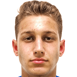 Amer Turkanovic fm 2019