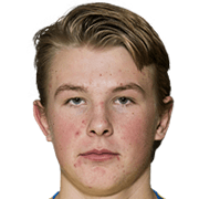 Adrian Pettersson fm 2019