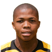 Gert Schalkwyk fm 2019