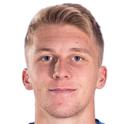 Haris Hajdarevic fm 2019