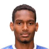 Christophe Hérelle fm20