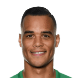 Michel Vorm fm 2020