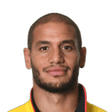 Adlène Guédioura fm20