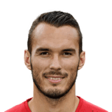 Guillaume Hubert fm20