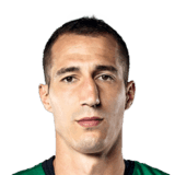 Radosav Petrovic fm 2020