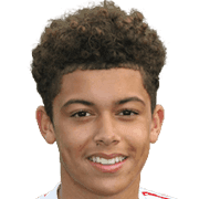 Brennan Johnson fm20