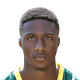 Djibril Dianessy fm20