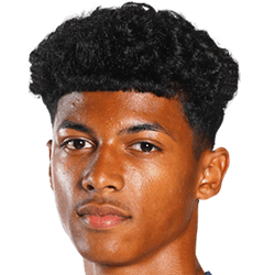 Charles Andreas Brym fm20