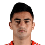 Gonzalo Martínez fm20