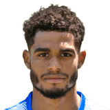 Mikaël Mandron fm20