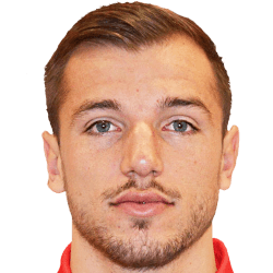 Sinisa Sanicanin fm 2020