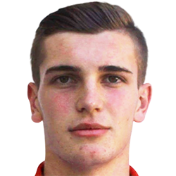 Nardin Mulahusejnovic fm20