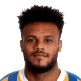 Aaron Amadi-Holloway fm20