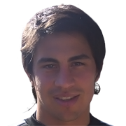 Diego Pave fm20