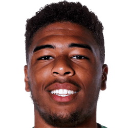 Loïck Piquionne fm20