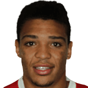 Nathan Cachorrão fm20