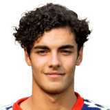 Andrea Tripicchio fm20