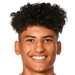 Salah Aziz Binous fm20