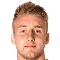 Damir Mehidic fm 2020