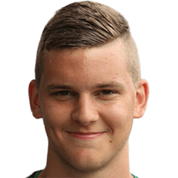 Elvin Ibrisimovic fm20