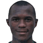 Hermes Palomino fm 2020