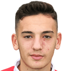 Ethan Dekel-Daks fm20