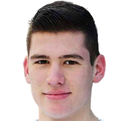 Pavle Obradovic fm 2020