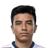 Fernando Beltrán fm20