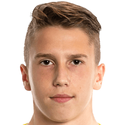 Peter Strijbosch fm 2020