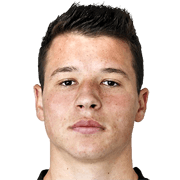 Mirza Berkovic fm 2020