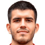 Ognjen Pelicic fm 2020