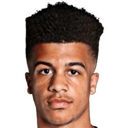 Kornell McDonald fm20