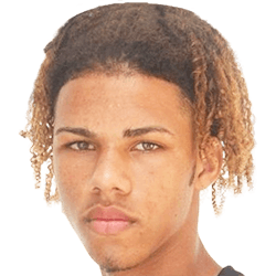Nathan fm20