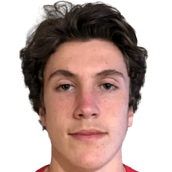 Mateja Milasinovic fm20