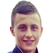 Ermin Ibrahimovic fm20