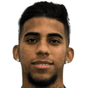 Luiz Fernando fm20