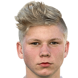 Dominik Stupienko fm20