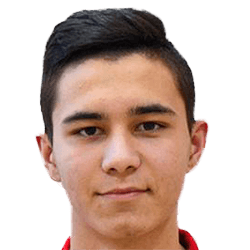 Linar Mukhametshin fm20