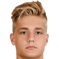 Alexandr Tsiberkin fm20