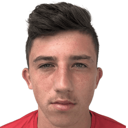 Raul Găvîrliţă fm20