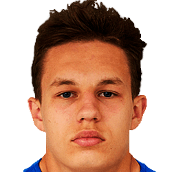 Dmitry Vladimirov fm20