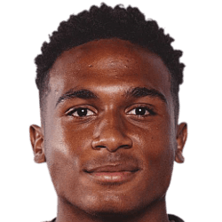 Harvey Bertrand fm 2020