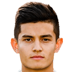 Dario Callebaut fm20