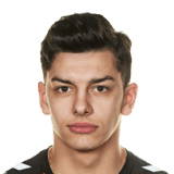 Cristian Magerusan fm 2020