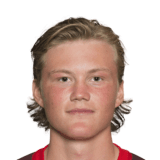 Halldor Stenevik fm 2020