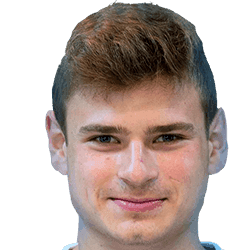 Mateusz Majer fm 2020