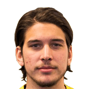 Nikola Vasic fm 2020