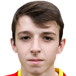 Callum Wilson fm 2020