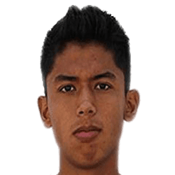 Luis Gerardo Ramírez fm20